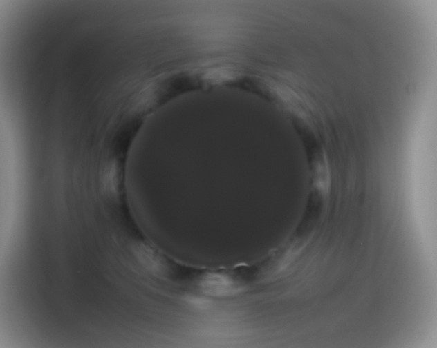 X0000113850519200910011003