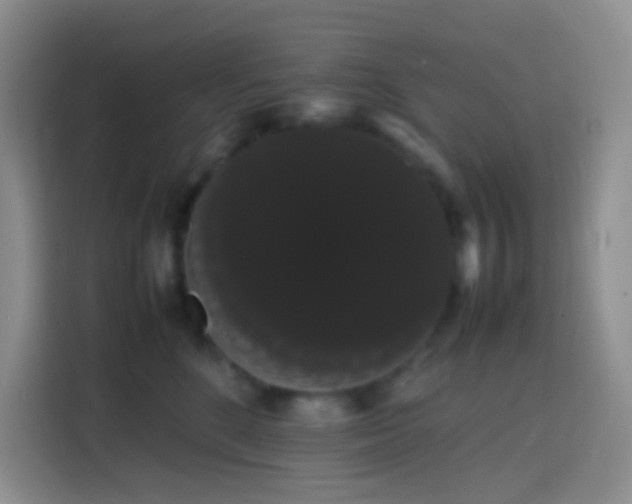 X0000113850520200910011003