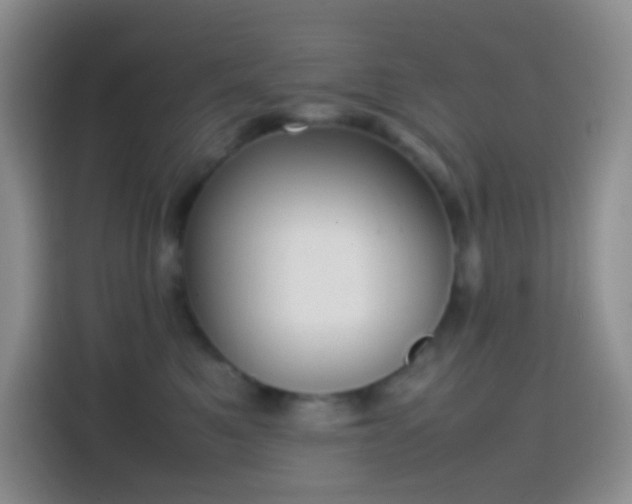 X0000113850521200910011003