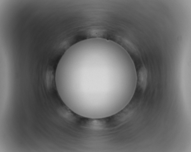 X0000113850522200910011003