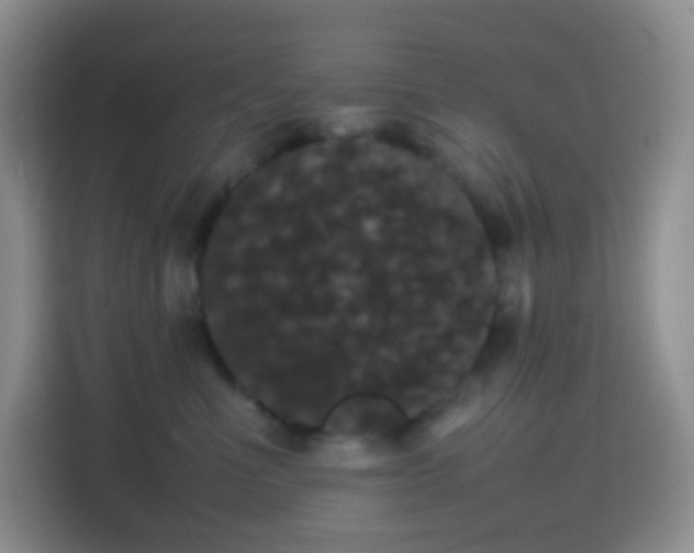 X0000113850523200910011003