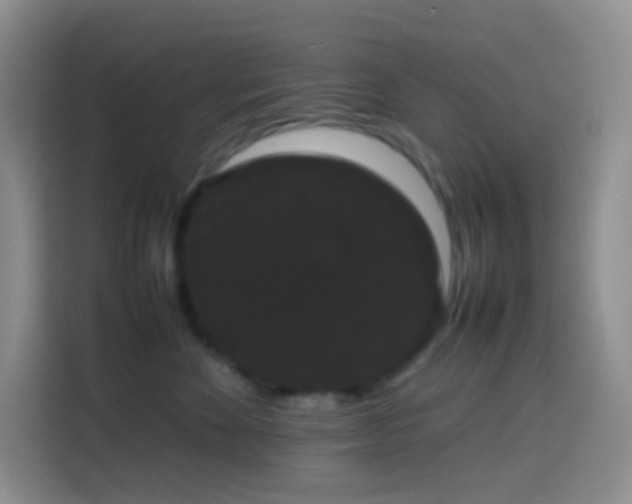 X0000113850524200910011003