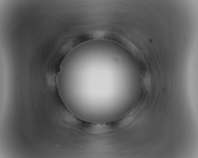 X0000113850525200910011003