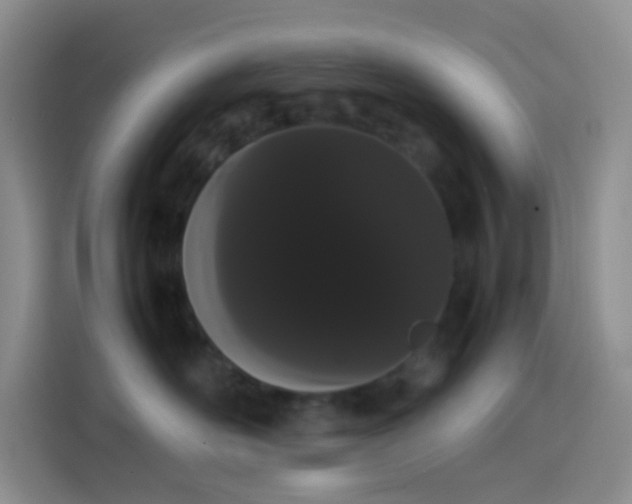 X0000113850526200910011003