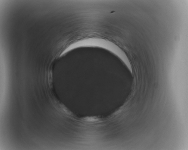 X0000113850528200910011003