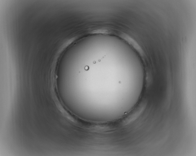 X0000113850529200910011002