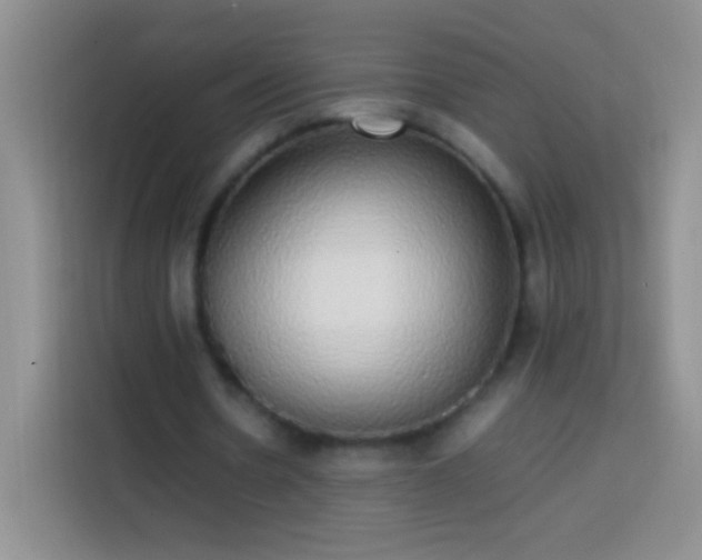 X0000113850530200910011003