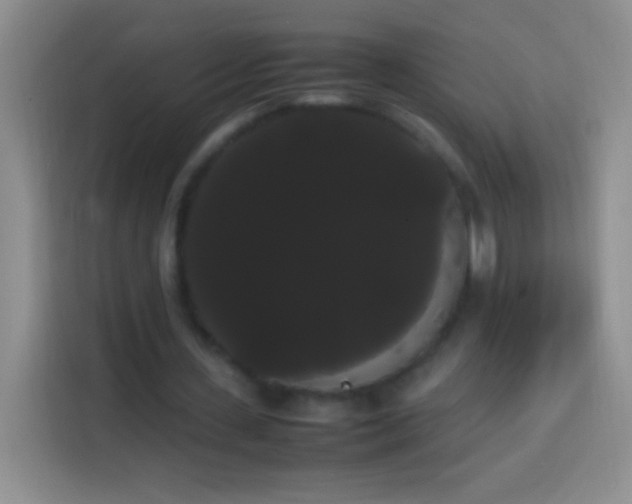 X0000113850531200910011003