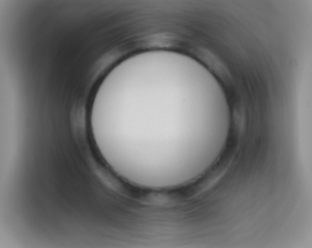 X0000113850534200910011003