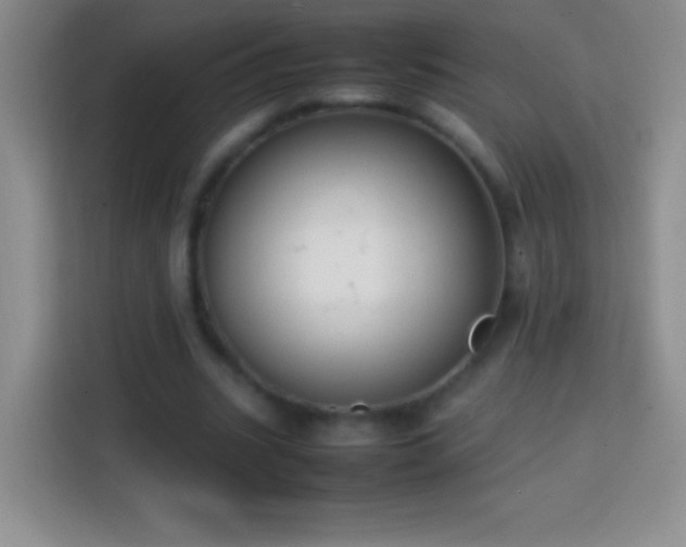 X0000113850535200910011003