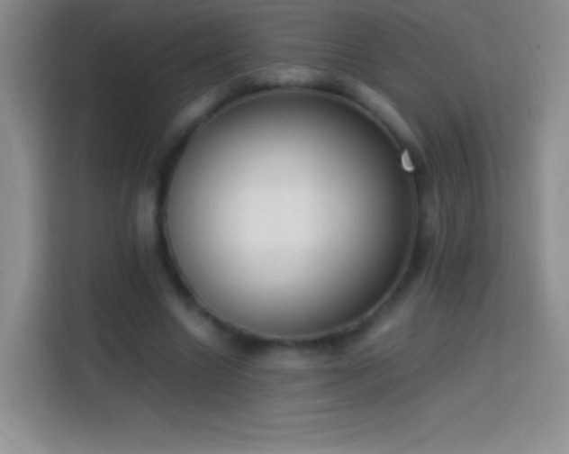 X0000113850538200910011003