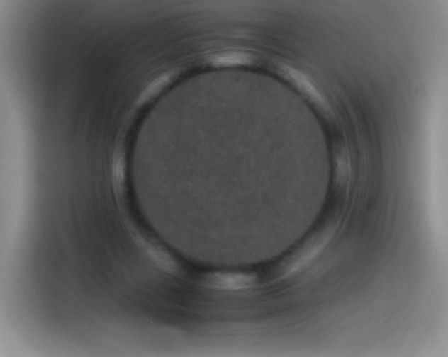 X0000113850539200910011003