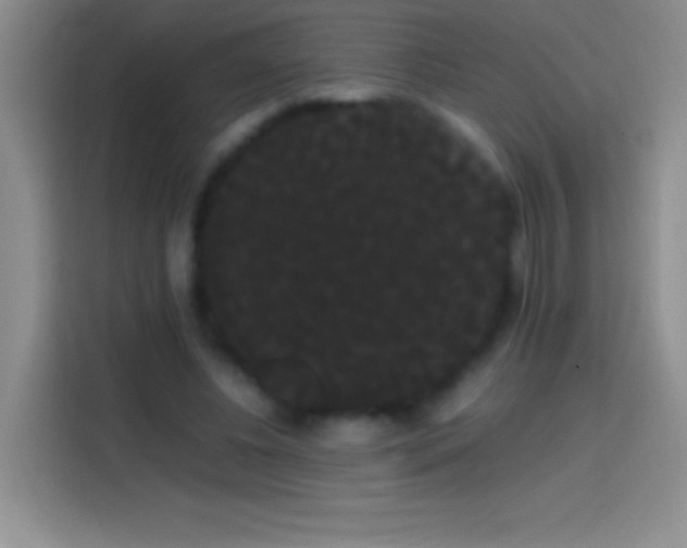 X0000113850540200910011003