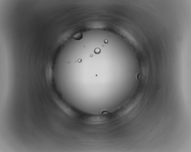 X0000113850541200910011003