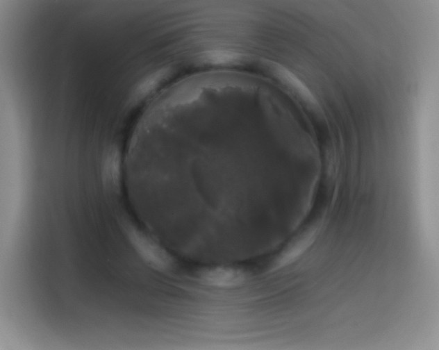 X0000113850542200910011003