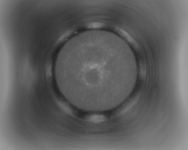 X0000113850543200910011003