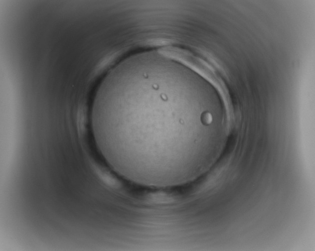 X0000113850544200910011003