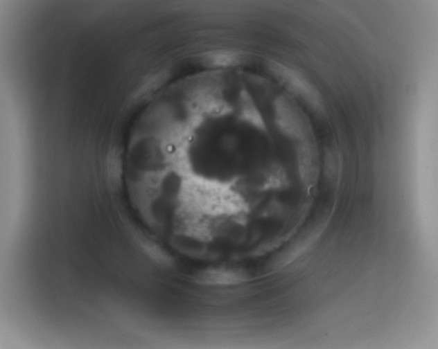 X0000113850545200910011003