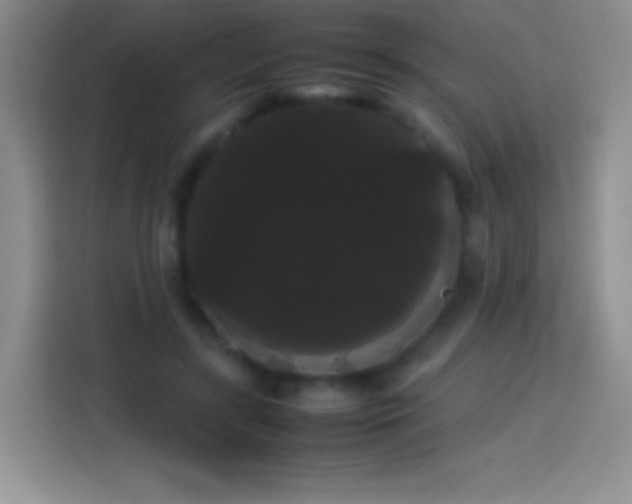 X0000113850547200910011003