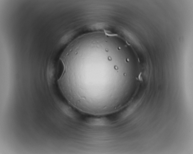 X0000113850548200910011003