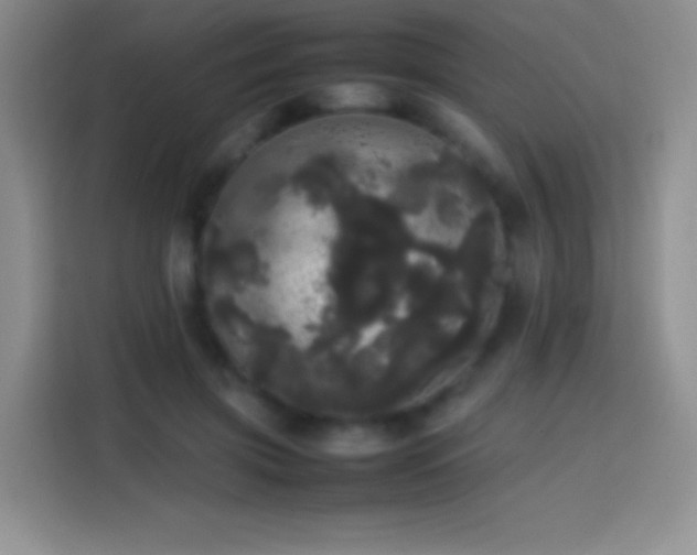 X0000113850549200910011003