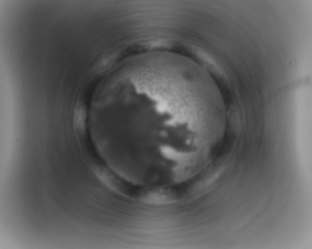 X0000113850550200910011003