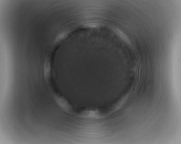 X0000113850552200910011003