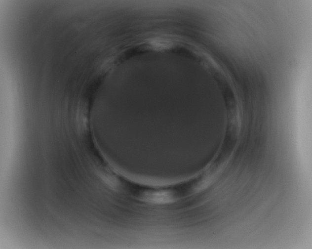 X0000113850553200910011003