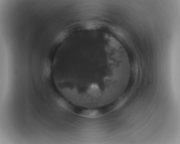 X0000113850554200910011003