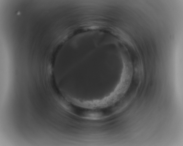 X0000113850555200910011003