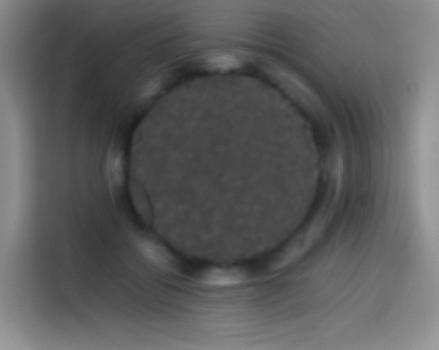 X0000113850556200910011003