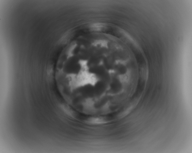 X0000113850557200910011003