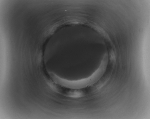 X0000113850559200910011003