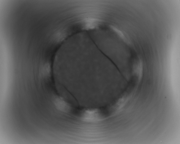 X0000113850560200910011003