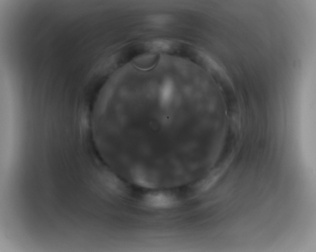 X0000113850561200910011003