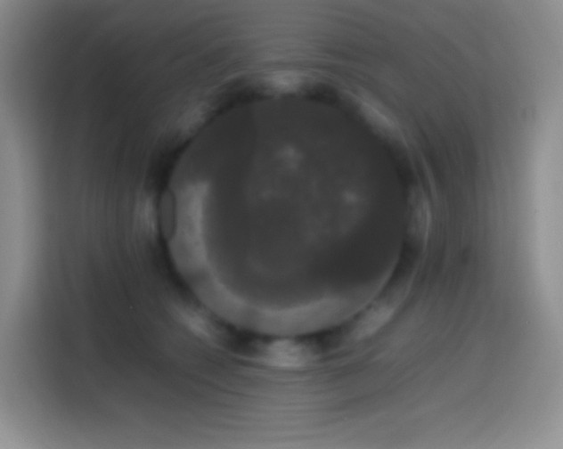 X0000113850562200910011003