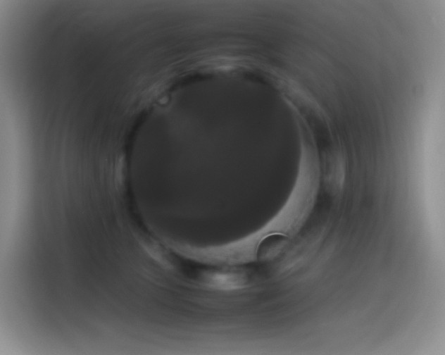 X0000113850563200910011003