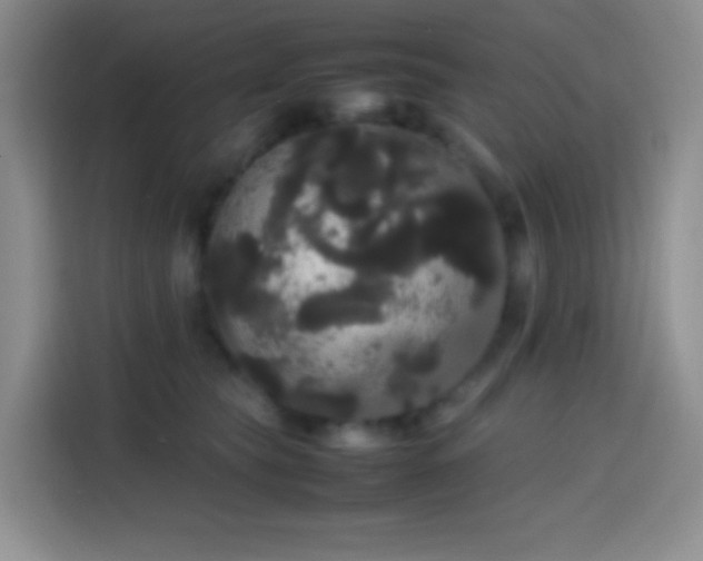 X0000113850565200910011003