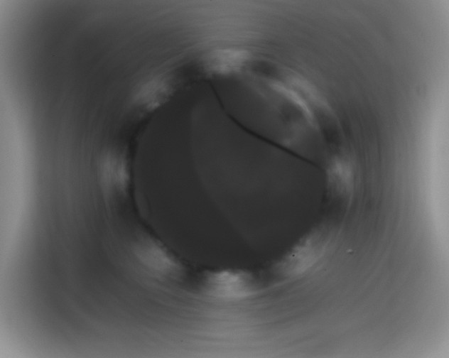 X0000113850566200910011003