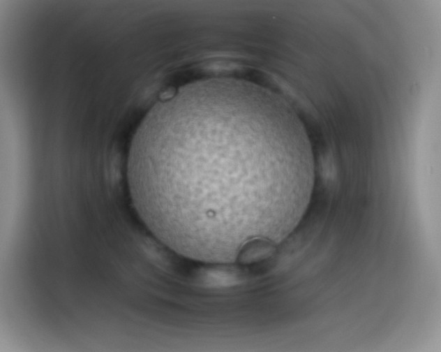 X0000113850567200910011003