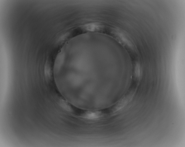 X0000113850569200910011003