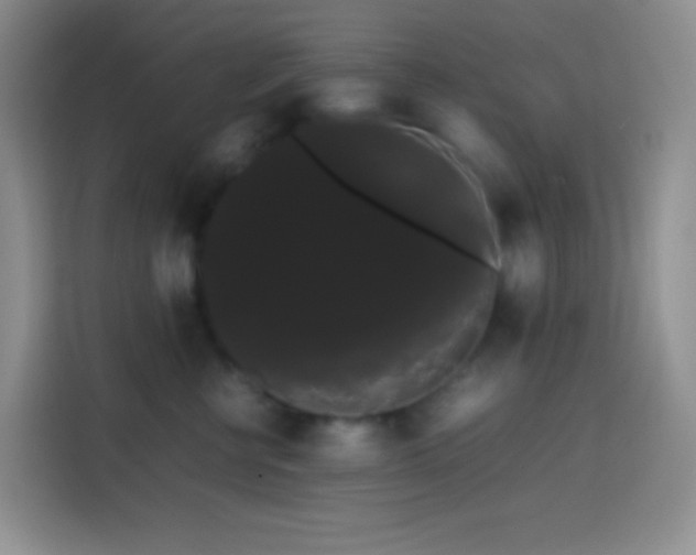 X0000113850570200910011003