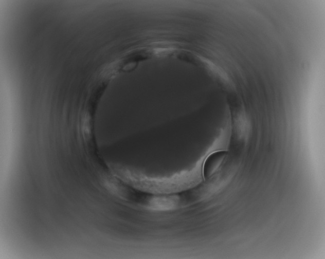 X0000113850571200910011003