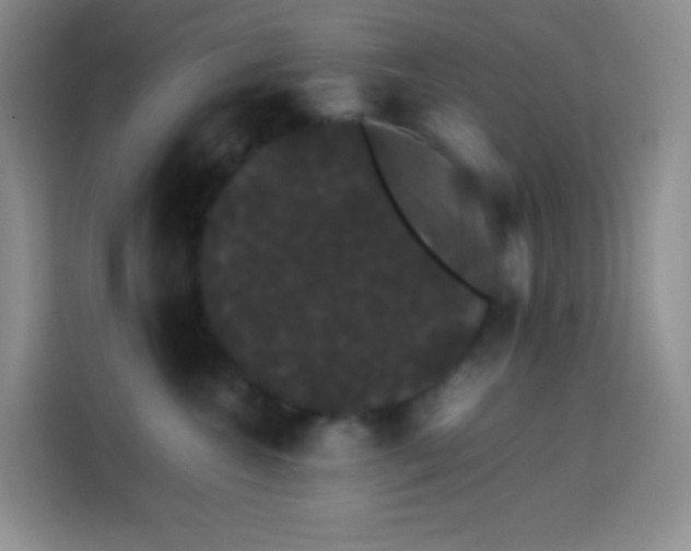 X0000113850572200910011003