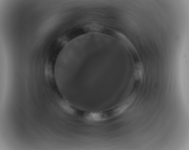 X0000113850573200910011003