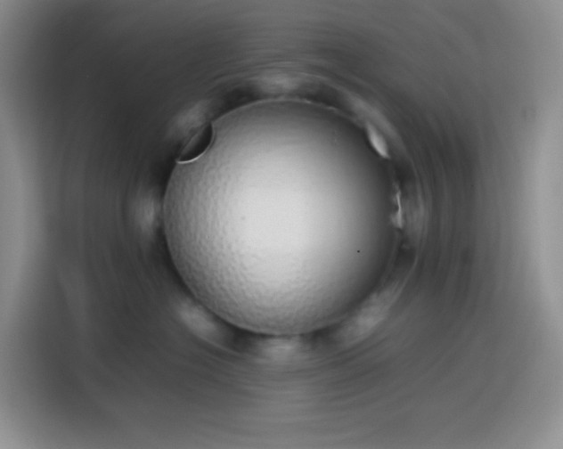 X0000113850574200910011003