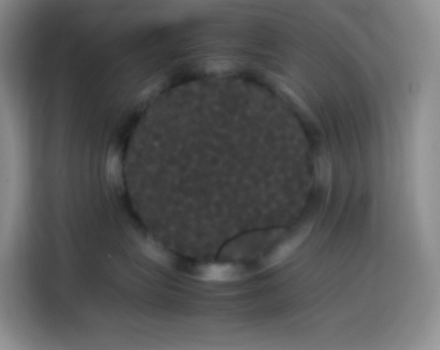 X0000113850575200910011003