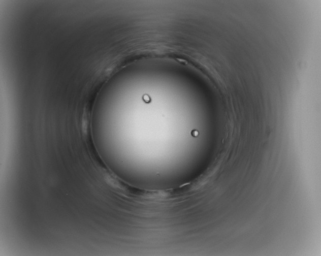 X0000113850576200910011003