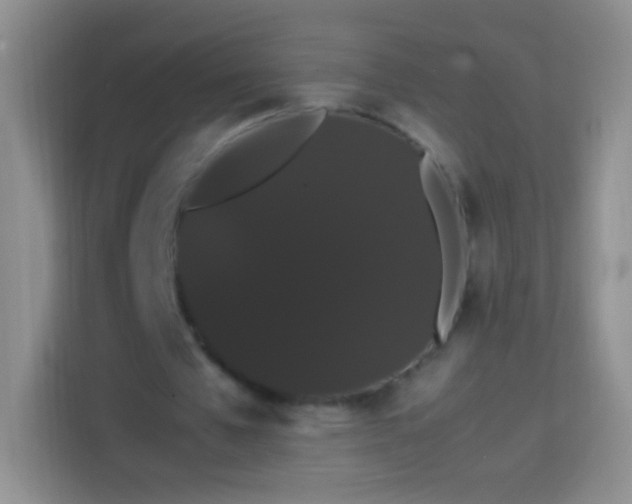 X0000113850577200910011002