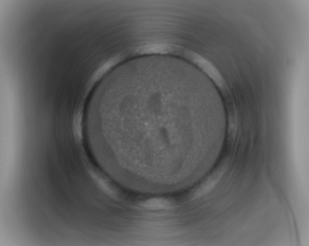 X0000113850578200910011002